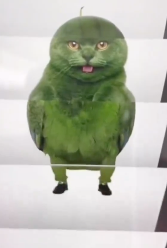 cmkosemen's tweet image. Respond with "entities" you collected from shitposts & memes! NOW! 🔫🤡🍨🌪️