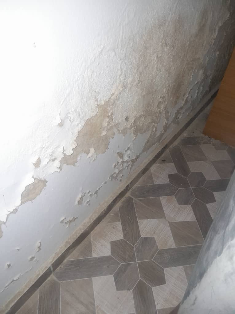 Pedro_Winproof's tweet image. Rising dampness is major issue we experience in our homes. #wegotyourback #waterproofyourhouse