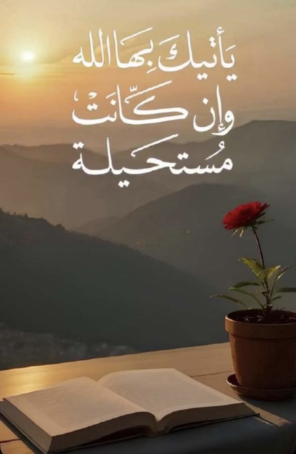 rajia0777's tweet image. 
