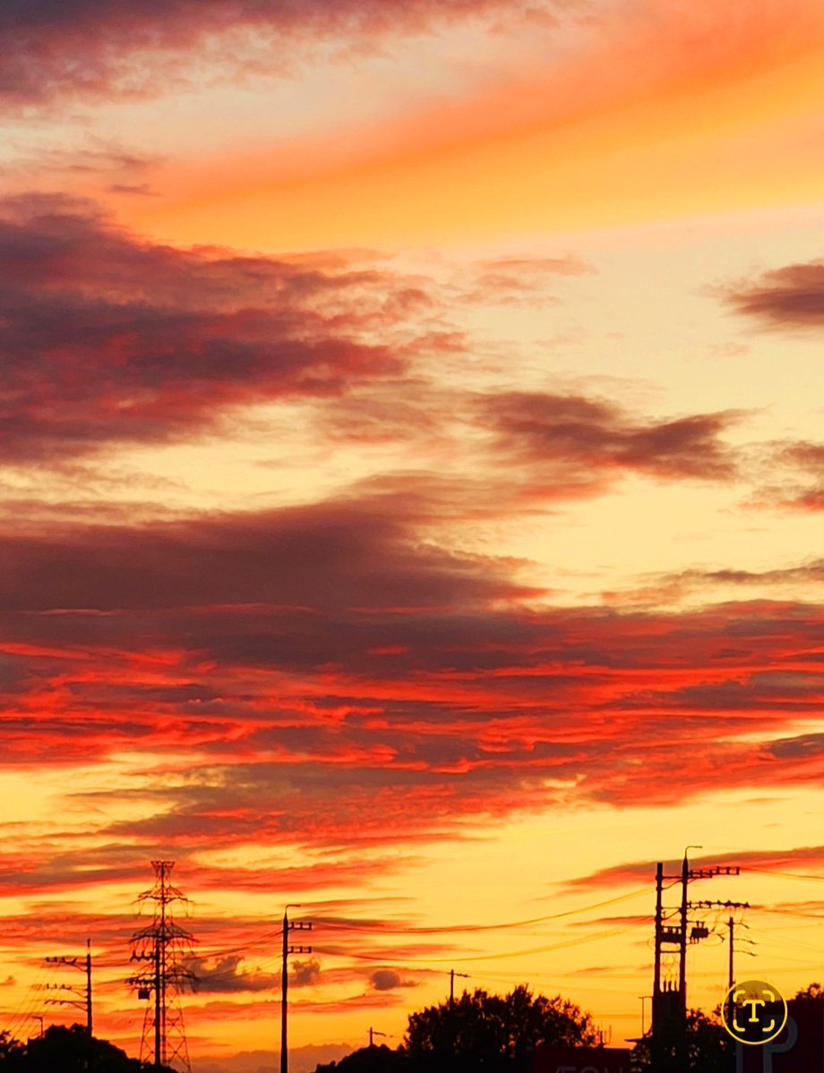 rz7j2xMw3q29104's tweet image. お疲れ様です✨
今日は先日撮った夕空(未ポスト分)をお届けします🙋
「綺麗な赤とオレンジの夕焼け色に癒されて❇️」
今日は午後お仕事お休み取れたので、
少しだけ写活してきました🌻😊
またぼちぼちポストしますね🙋
では穏やかな夜をお過ごし下さい🌃✨
#夕焼け