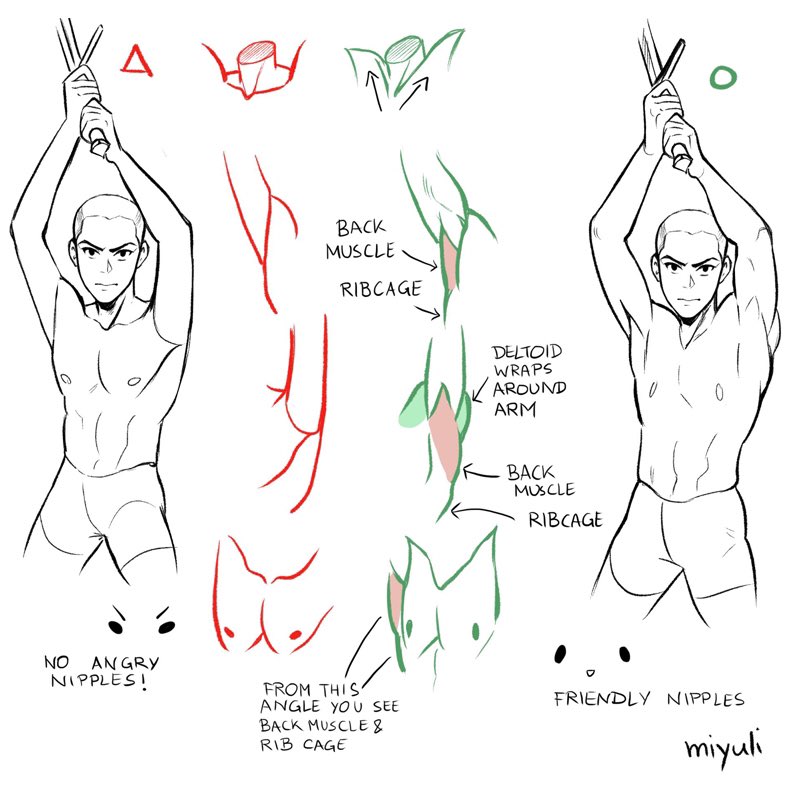 EtheringtonBros's tweet image. Our feature tutorial/artist today is this great set of mini-notes on ARMPITS by the talented
@miyuliart! GREAT muscle group breakdowns here! #characterdesign #manga #comicart #arttips