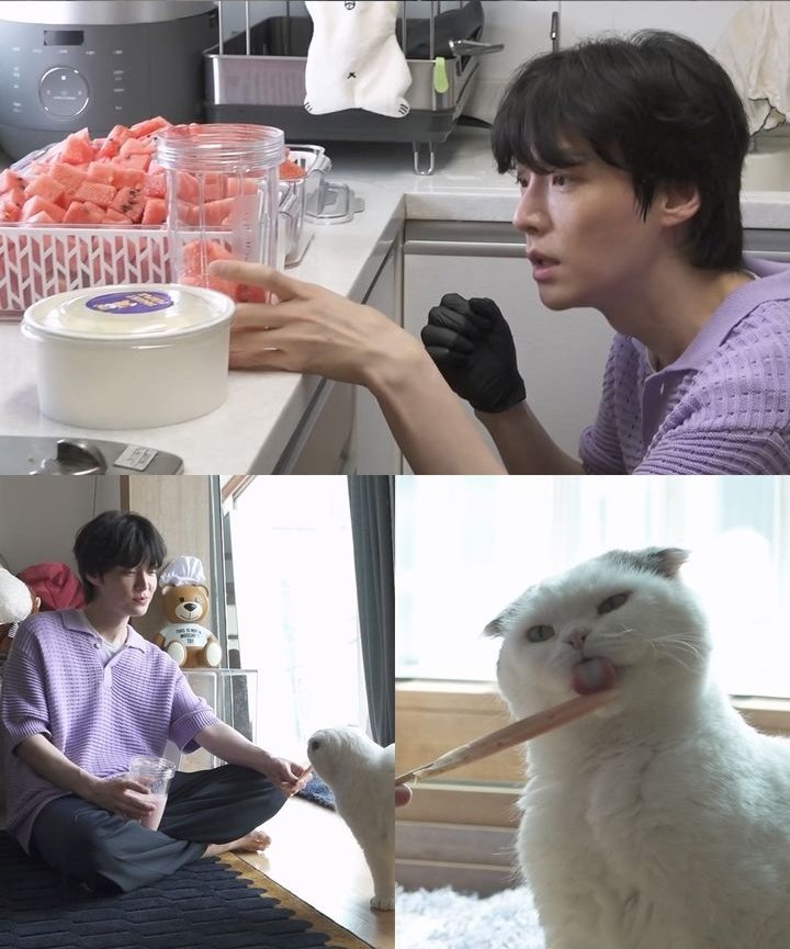 말로 표현하자면 굉장히 더운 여름, 한여름 저녁이나 밥을 다 먹은 밤 6~7시 정도에 선풍기나 에어컨이 켜져있는 시원한 방에서 뒹굴면서 수박을 먹는 것 같은 그런 느긋한 편안함이 있는 분위기 ..?