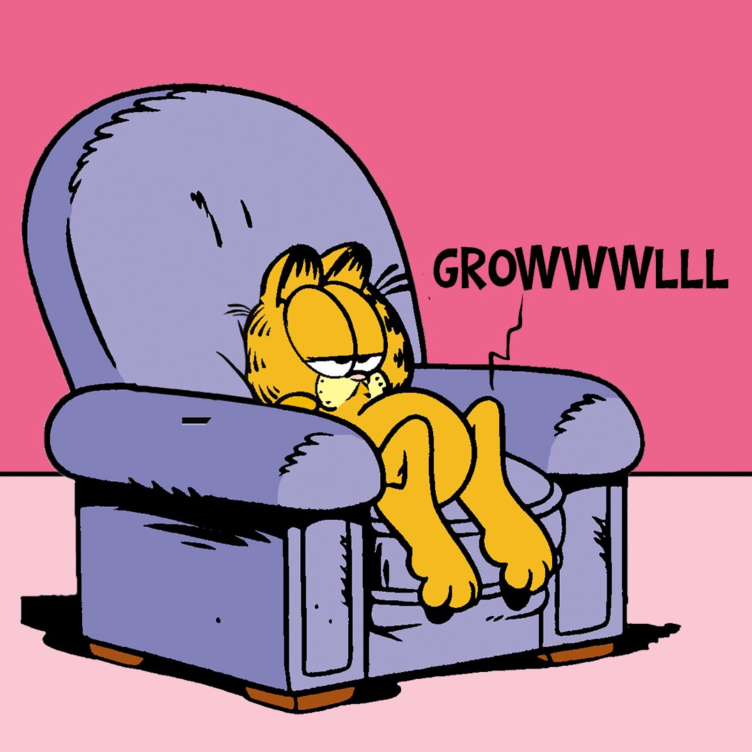 ガーフィールド 猫 セル画 ALOOF フレーム付き ガーフィールド 猫