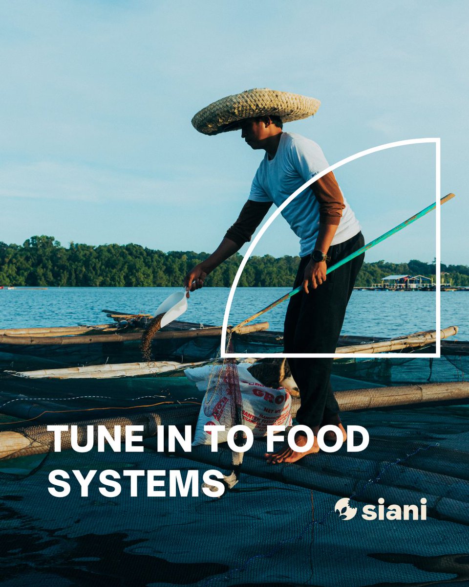 SIANIAgri's tweet image. Stay tuned for the "Tune in to Food Systems" campaign—a series of articles featuring interviews with diverse #experts from various fields, all dedicated to sustainable #FoodSystems
buff.ly/hpaZNcc