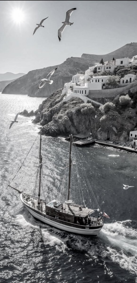 Sakis foto tweet media