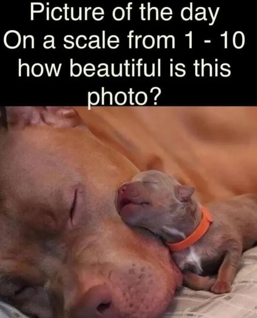 t4hrts's tweet image. 