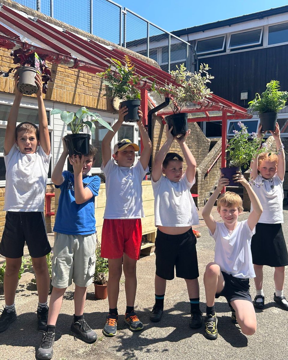 MeristemDesign's tweet image. 🌿 Meet our newest green innovation: the Bio Habitat SuDS Planter 🐛🌧️
💧 Manages rainwater
🦔 Supports urban wildlife (bee bricks, bug hotel, hedgehog house & more)
🧠 Perfect for schools – our first install became a living classroom!
#SuDS #UrbanGreening #Biodiversity