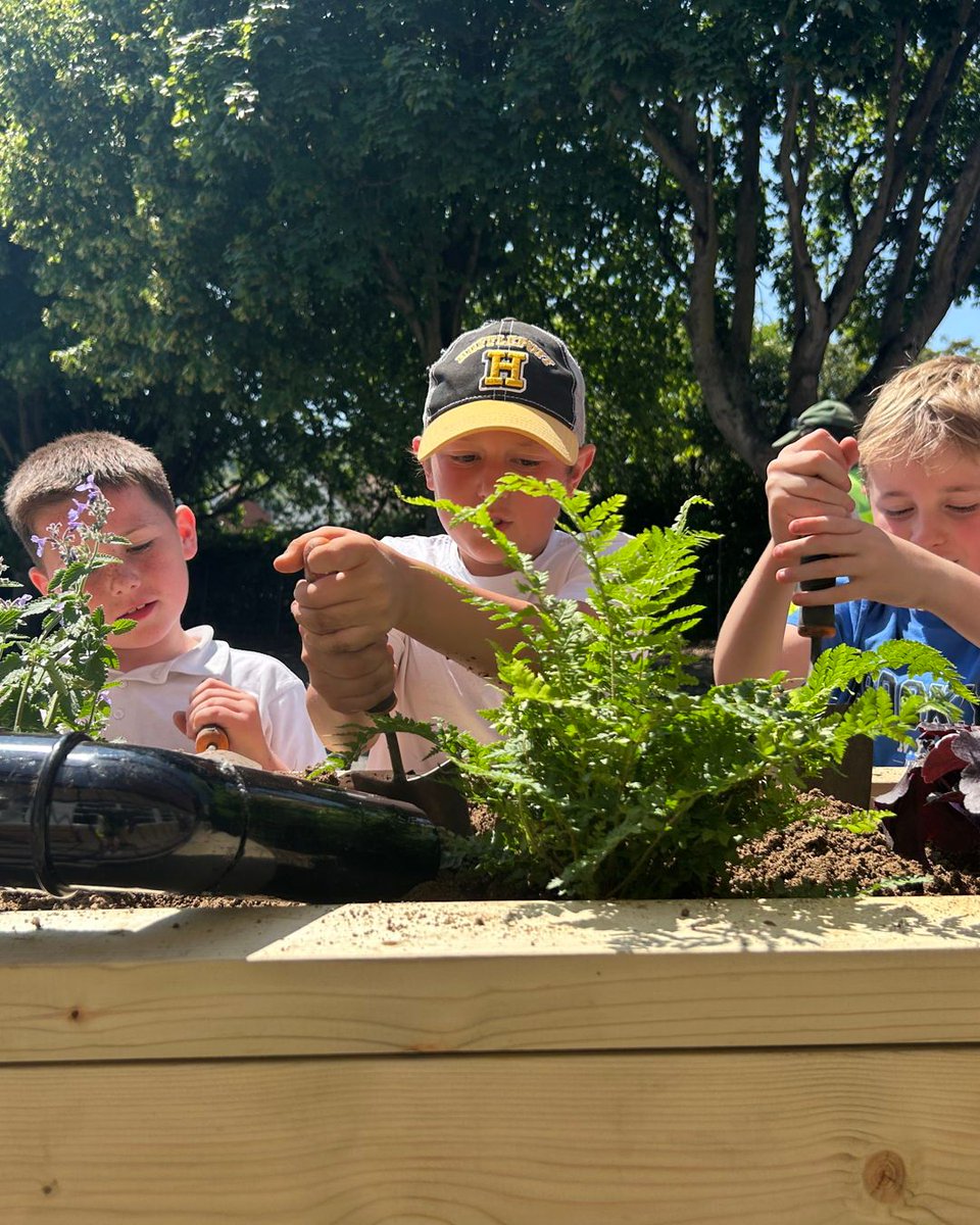 MeristemDesign's tweet image. 🌿 Meet our newest green innovation: the Bio Habitat SuDS Planter 🐛🌧️
💧 Manages rainwater
🦔 Supports urban wildlife (bee bricks, bug hotel, hedgehog house & more)
🧠 Perfect for schools – our first install became a living classroom!
#SuDS #UrbanGreening #Biodiversity