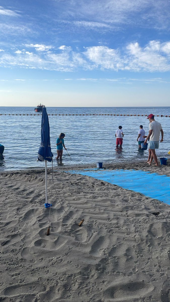 Thornleigh MFL (@tsc_mfl_dep) on Twitter photo Day 10... removing swathes of the jnvasive seaweed Rugulopteryx Okamurae from the swimming bets ahead of the bathers arriving #workexperience #climateaction <a href="/thornleigh/">Thornleigh</a> <a href="/NautilusGib/">The Nautilus Project</a> <a href="/TSC_SixthForm/">Thornleigh Sixth Form</a> <a href="/TuringScheme_UK/">Turing Scheme UK</a> Day 10... removing swathes of the jnvasive seaweed Rugulopteryx Okamurae from the swimming bets ahead of the bathers arriving #workexperience #climateaction <a href="/thornleigh/">Thornleigh</a> <a href="/NautilusGib/">The Nautilus Project</a> <a href="/TSC_SixthForm/">Thornleigh Sixth Form</a> <a href="/TuringScheme_UK/">Turing Scheme UK</a>