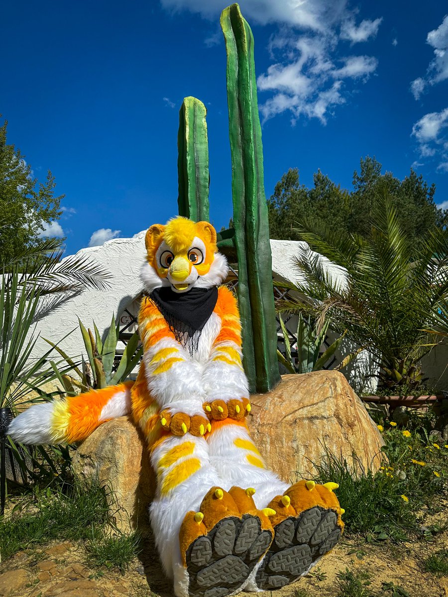 Happy #FursuitFriday ☀️🌵
📸 <a href="/NirdianLickyBoi/">Nirdian</a>