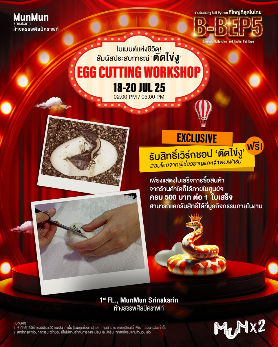 MUNX2SPACE's tweet image. Exclusive รับสิทธิ์เวิร์กชอป ‘ตัดไข่งู’ ฟรี! สอนโดยผู้เชี่ยวชาญและเจ้าของฟาร์ม

อ่านเพิ่มเติม: facebook.com/share/p/16XWNu…

🐍B-BEP5 : Bangkok Ballpython &amp;amp; Exotic Pet Expo ครั้งที่ 5
📆18-20 ก.ค.68
📍ชั้น 1, มันมัน ศรีนครินทร์ - ห้างสรรพศิลป์คราฟท์

#งูบอลไพธอน #Ballpython #ExoticPet