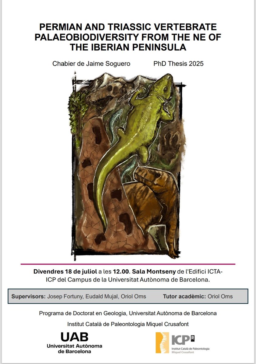 ICP_MCrusafont's tweet image. 🎓🦎 Today we&apos;re attending the PhD thesis defense of Chabier de Jaime (@Comp_PaleoBio).

His research explores Permian and Triassic vertebrate palaeobiodiversity from the NE of the Iberian Peninsula — a key period in Earth&apos;s evolutionary history.

Good luck, Chabi! 💪