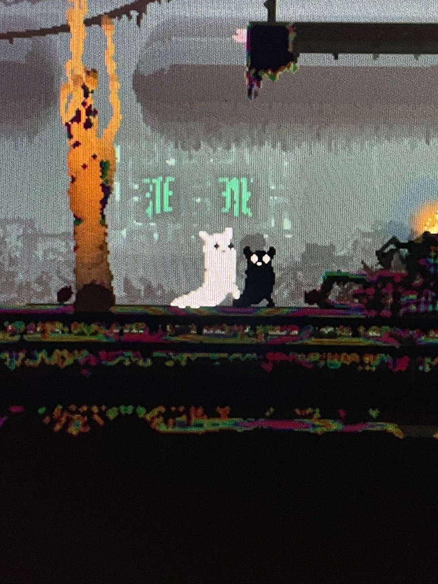 sandercat_'s tweet image. Cuchipuchi