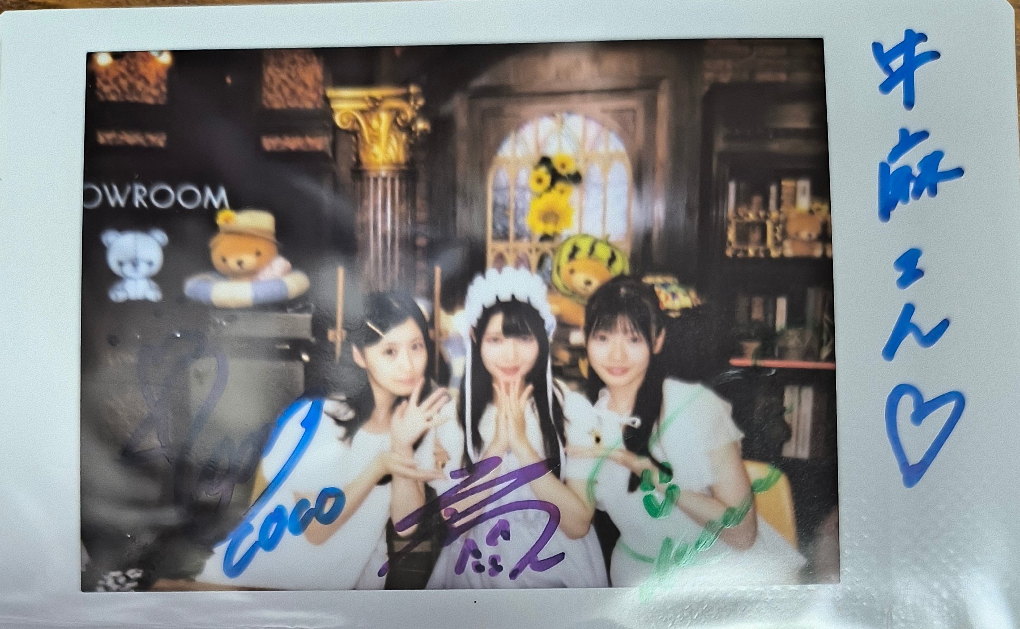 coco☆さま おはなし中です いっしょにあそぼう♪とっても可愛いおりこうワンちゃん🐶【ココ