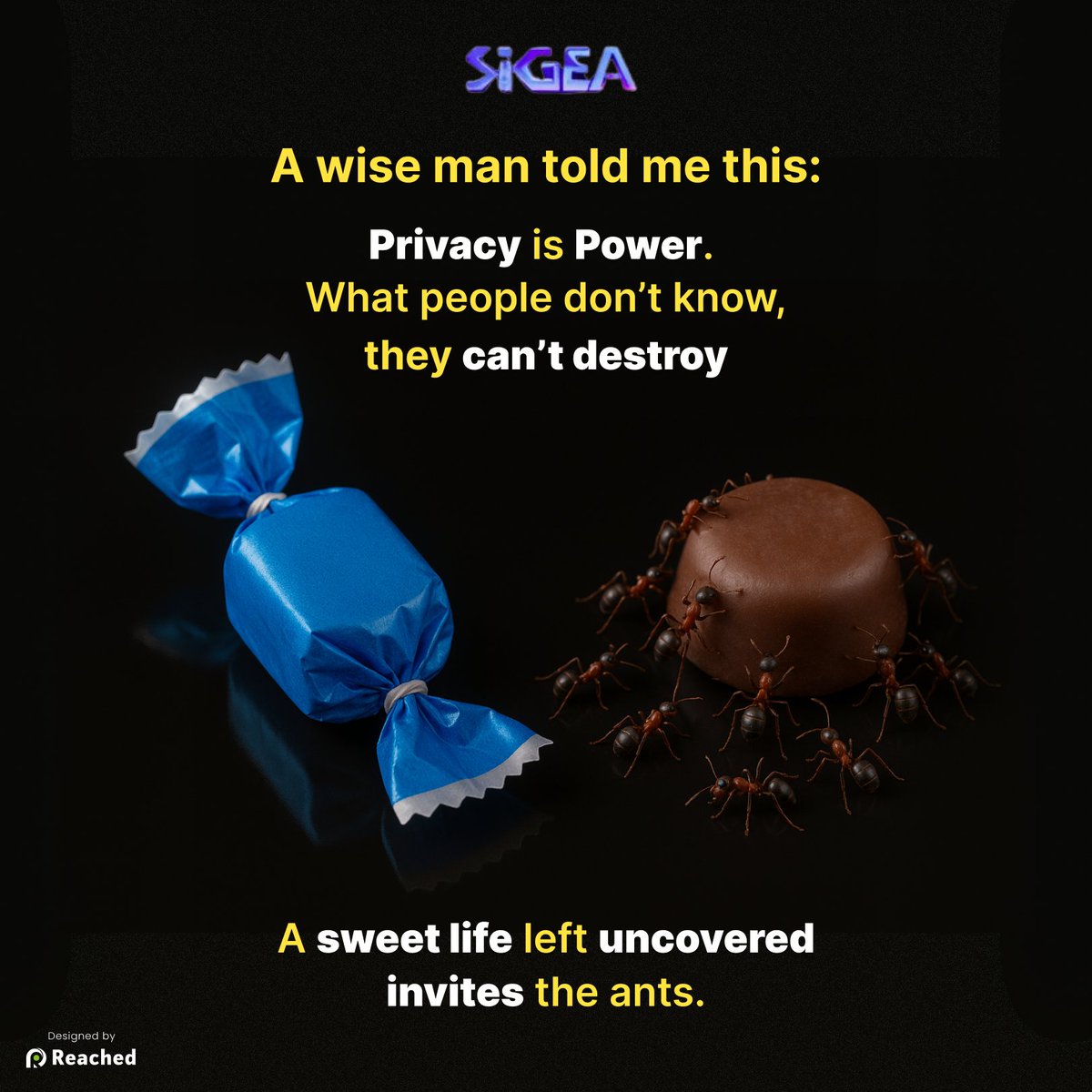 🔐 Privacy is not just a feature - It’s a shield.
What’s protected stays powerful.
What’s exposed, attracts trouble.
Just like candy left uncovered invites ants —
 Your digital life deserves a wrap.
Choose SIGEA for privacy that protects. 🛡️✨
#PrivacyIsPower #Sigea