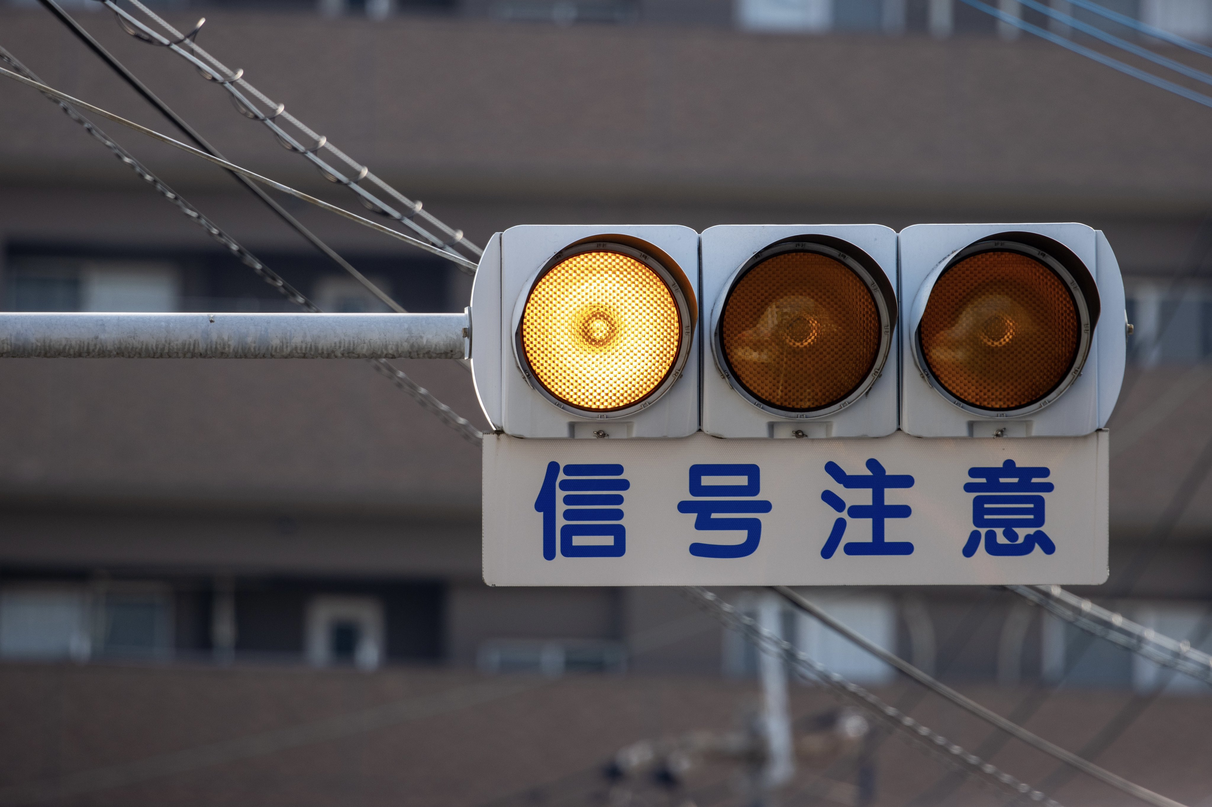 手渡し限定！信号機看板(時差式) 押しボタン式信号は渡らない｜瀬戸さやか
