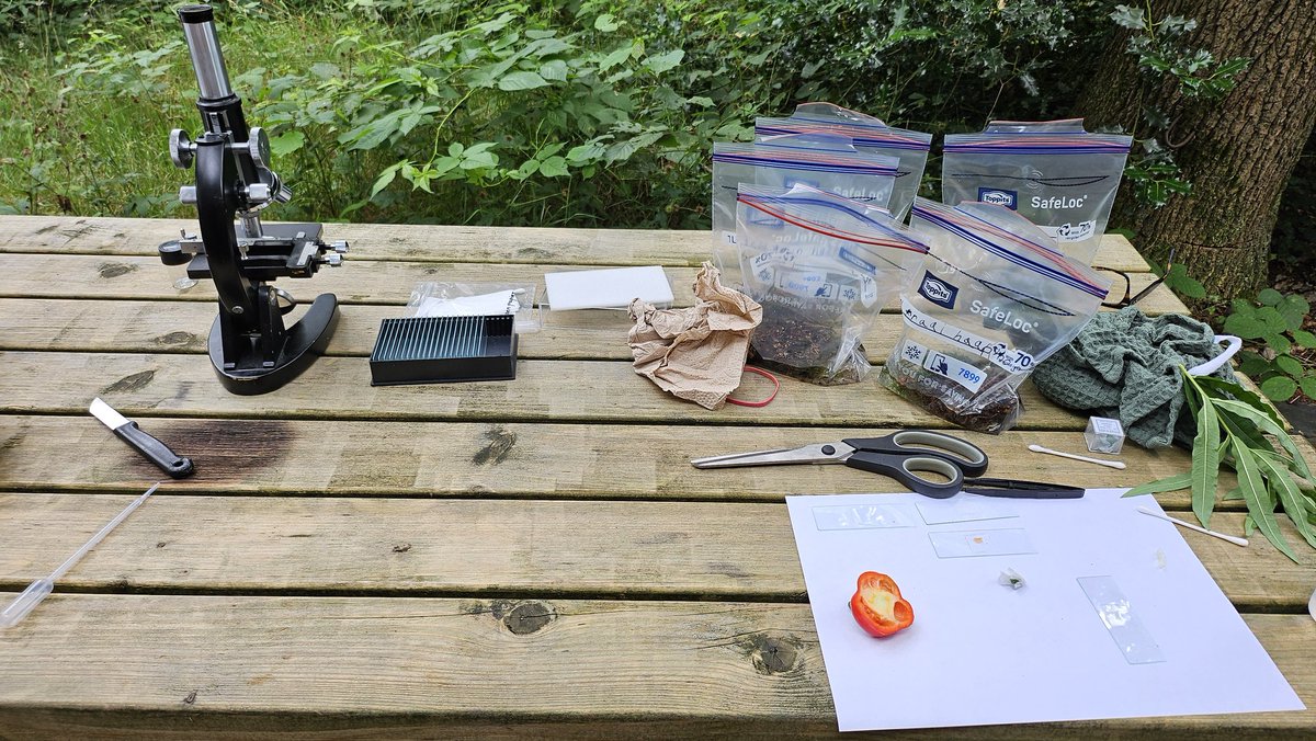 My youngest and I are on mission "Tardigrade." 

So far the score is 0 and the conclusion that I need a better microscope. 

(This one is very cool and classic... bit sadly has some quirks.)

There's no better reason for an altseason than this 🤣🤣🤣