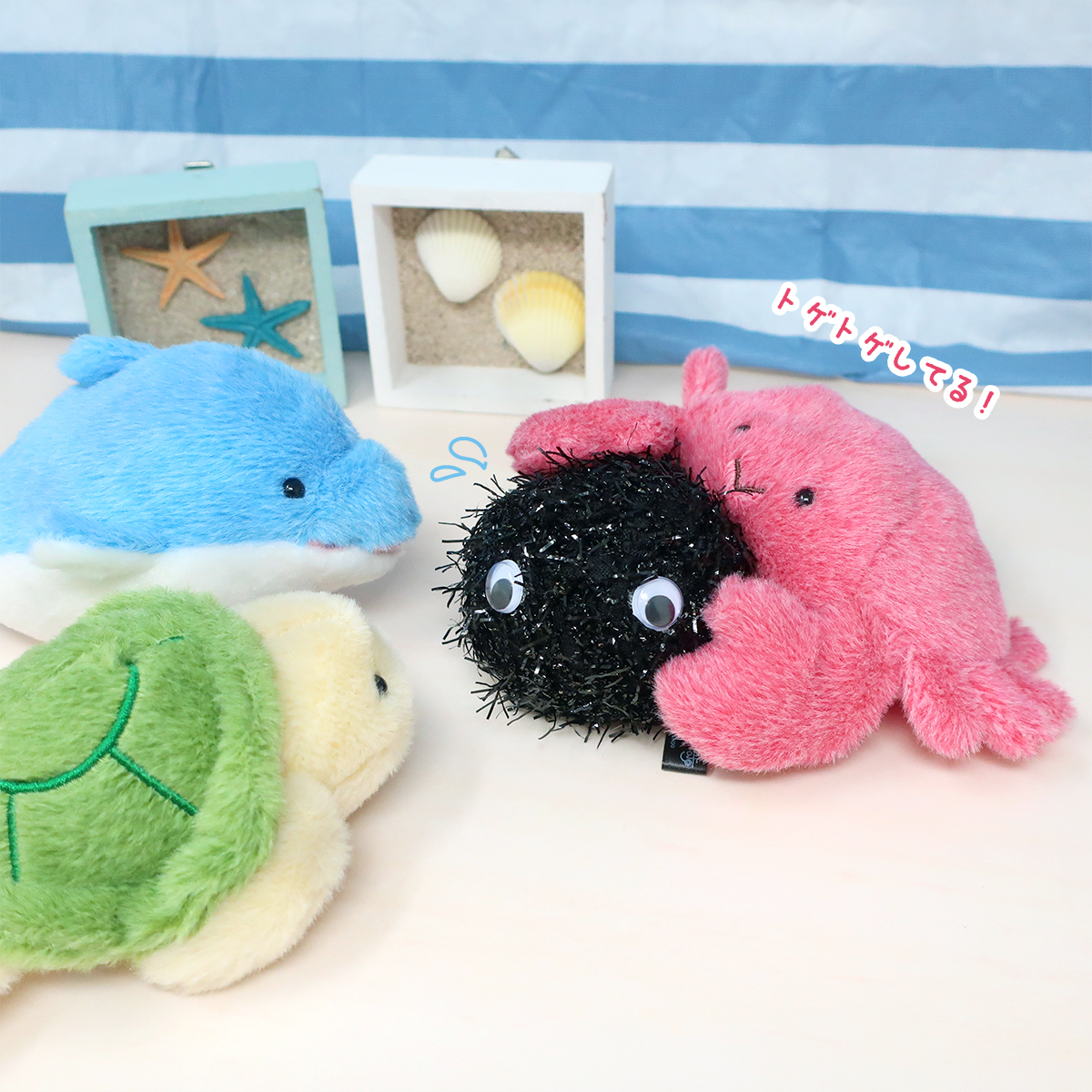 naito_design's tweet image. \ 今日は #海の日 🏖️/
ウニのトゲトゲが気に入ったみたいです🦀
#カニ #カメ #イルカ #ウニ #ぽちゃまる #海中散歩 #ぬいぐるみ #ぬい撮り