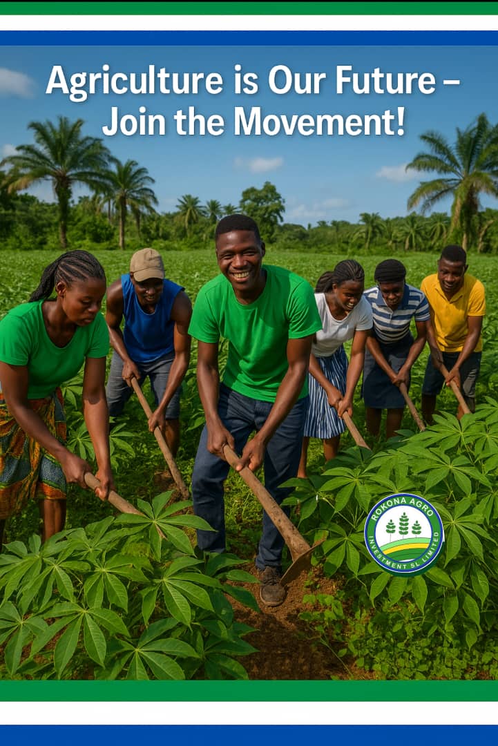 Icontehofficial's tweet photo. 🌱 𝗟𝗲𝘁’𝘀 𝗕𝘂𝗶𝗹𝗱 𝗮 𝗕𝗲𝘁𝘁𝗲𝗿 𝗙𝘂𝘁𝘂𝗿𝗲 𝘄𝗶𝘁𝗵 𝗖𝗮𝘀𝘀𝗮𝘃𝗮!🇸🇱

At #rokonaagro, we believe agriculture is the key to economic transformation in Sierra Leone. Our daily commitment to cassava farming is not just about cultivation — it’s about creating #jobs, strengthening #foodsecurity, and unlocking export potential for our nation.

From #farm to #factory, we are empowering #youth and #women, transforming cassava into valuable products like #starch, #flour, #gari, and #foofoo, fueling both local and international markets.

✅ Join the movement.
✅ Support agricultural innovation.
✅ Let’s grow Sierra Leone together!

🔗 https://t.co/aGl6mm0Zm6
📧 info@rokonaagroinvestmentsl.com
📍 Mabua Village, Masimera Chiefdom, Port Loko District

GOOD MORNING 🌞🙏🏼

#CassavaForChange #FeedSalone #Agribusiness #YouthEmpowerment #WomenInAgriculture 

Rokona Agro Investment Limited🇸🇱