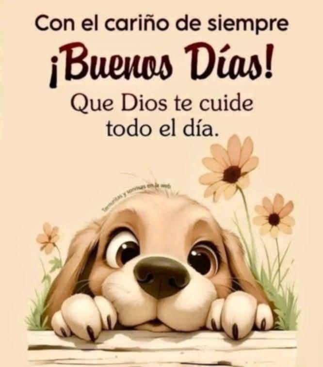 RamonJRodz's tweet image. Buen viernes !!!!!!