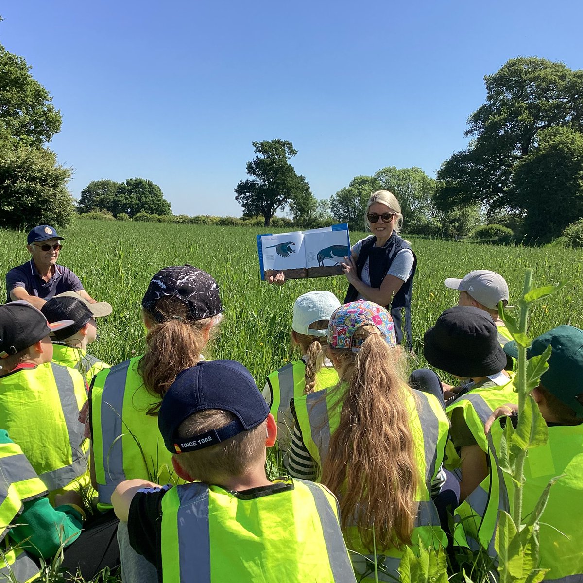 LEAF_Farming's tweet image. As we come to the end of the school year, we’re celebrating all the hundreds of teachers, students & farmers we've worked with. 🏆😍
Together we've helped raise young people's awareness of sustainable food production #LEAFMarque #IntegratedFarmManagement @LEAF_Education
🚜🌏🌱