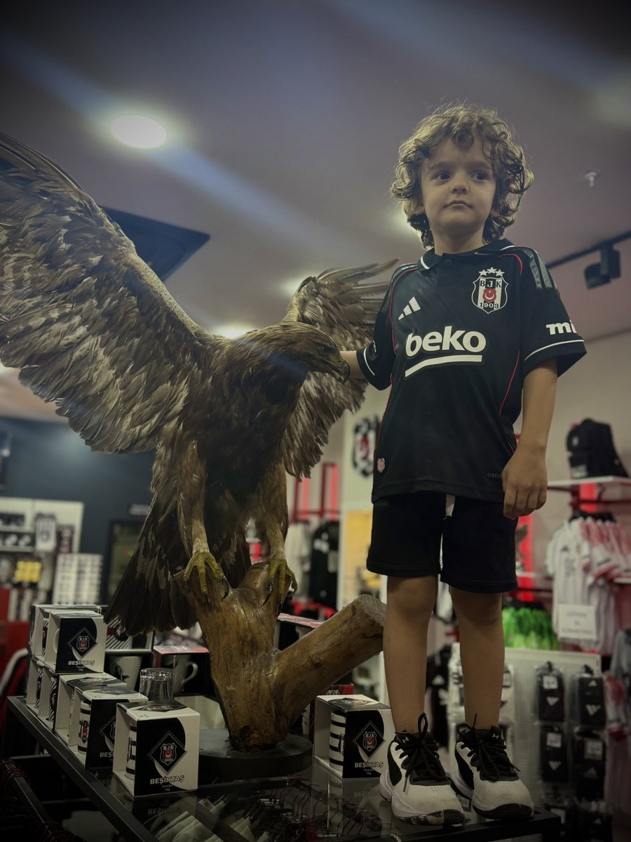 Yavru Kartalımız ALP , Siz değerli ablaları ve Abilerine Soruyor ??

Kendisinin sorusunu aynen sizlere iletiyoruz… ❤️❤️❤️

1 hafta sonra oynayacağımız avrupa kupası maçında ,
Shakhtar Donetsk karşısında <a href="/OrkunKokcu/">Orkun Kökcü</a> abim gol atarmı? 

Sizce Yavru Kartal ALP’ in bu hayali