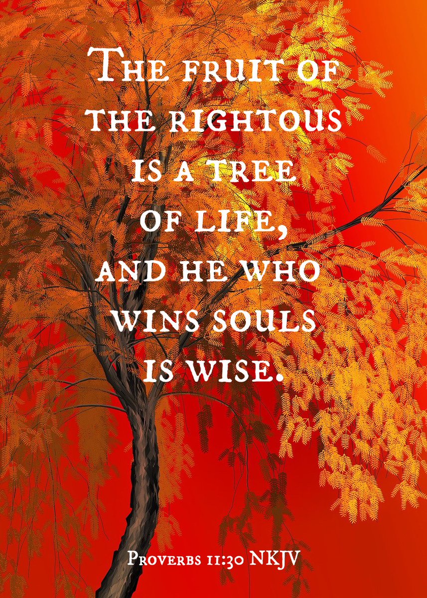 NicoleJEddyBlog's tweet image. 