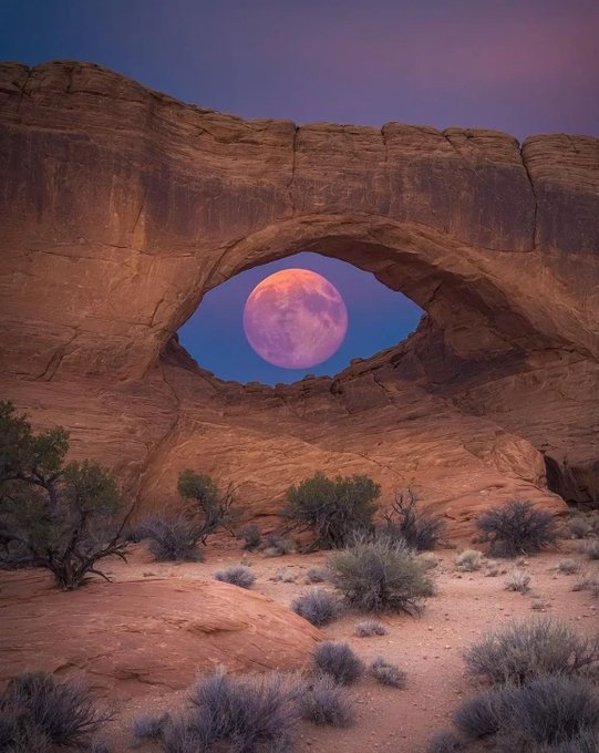 Arches National Park 

[📸 Elliot McGucken]