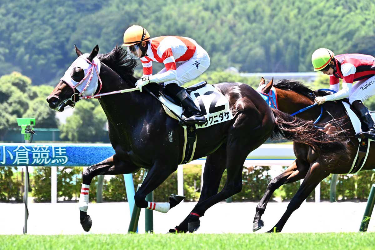 m_rikoaka's tweet image. 競走馬の数だけファンがいる。
私自信、記者としてずっと意識してきたことを、改めて実感したエピソードを書きました。
【 #ひまわり賞】
パドックに咲くひまわり
🌻
tospo-keiba.jp/forecast/60650
#カラクニダケ