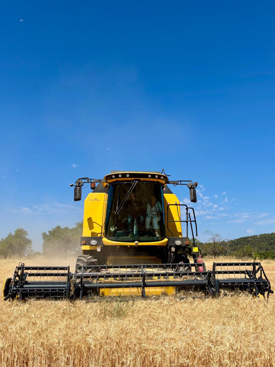 Intercereales (@intercereales) on Twitter photo Visite de la Ministre de l’Agriculture sur la filière blé dur 🇫🇷🌾🍝
<a href="/AnnieGenevard/">Annie Genevard</a> était aujourd’hui en <a href="/MaRegionSud/">Région Sud</a> :
- visite de l’usine <a href="/Panzani/">Panzani</a> qui s’approvisionne en blé 💯 % français,
- échanges avec les professionnels de la filière
- moisson d’une parcelle de #blédur, Visite de la Ministre de l’Agriculture sur la filière blé dur 🇫🇷🌾🍝
<a href="/AnnieGenevard/">Annie Genevard</a> était aujourd’hui en <a href="/MaRegionSud/">Région Sud</a> :
- visite de l’usine <a href="/Panzani/">Panzani</a> qui s’approvisionne en blé 💯 % français,
- échanges avec les professionnels de la filière
- moisson d’une parcelle de #blédur,