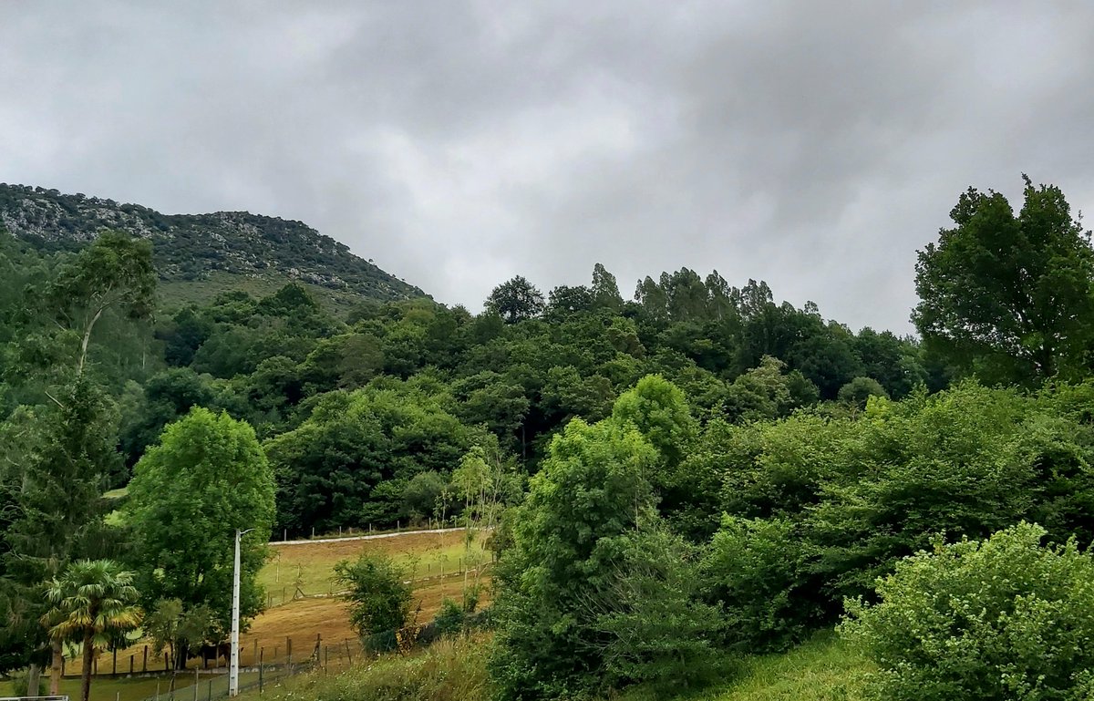 ¡ Muy Bella Tarde ya Mundo !
Es Viernes, y como dice la canción, el cuerpo lo sabe, si no que se lo digan a quienes no están de vacaciones.
Inicia un fin de lleno de fiestas en los pueblos de nuestra hermosa geografía, así que vaaamos, #AvanteToda,
Alegría y,
Sed Muy Felices...🧚‍♂️