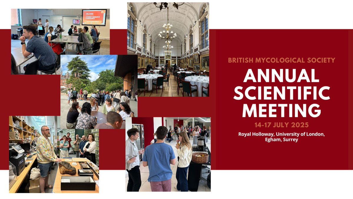 BritMycolSoc's tweet image. Thanks to everyone for joining us at this year's Student Research Conference and Annual Scientific Meeting, and making this a fantastic event for fungal biology! #BMS2025