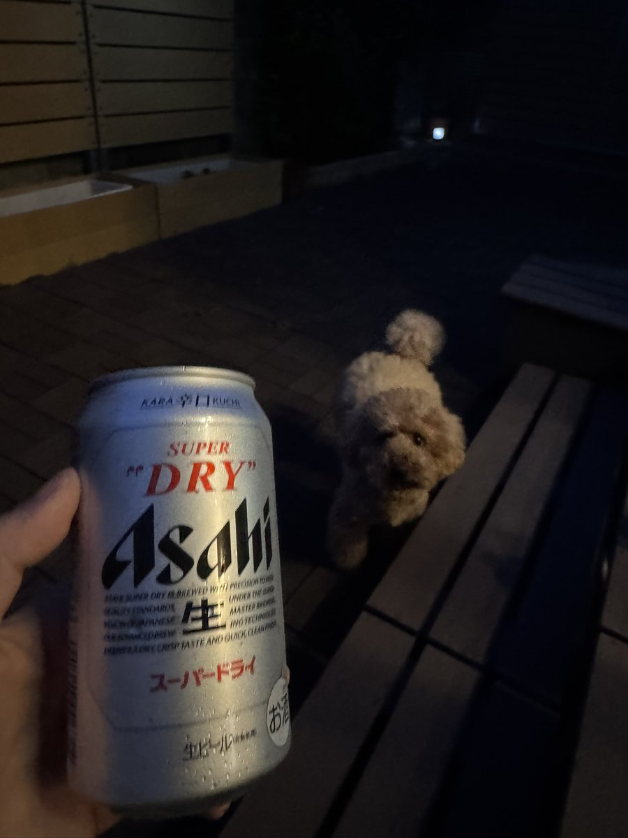 明日は夏祭り🏮💦
炎天下の中、準備頑張った(๑•̀ㅂ•́)و✧

ご褒美に本物ビール🍺いただきます🤗

#コペン
#l880k
#nbox
#ワンコが居る生活