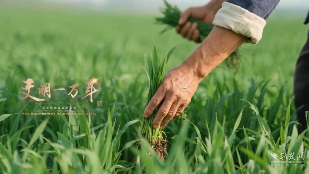 “Civilization for 10,000 Years” launches “Agricultural Civilization” VR module, bringing traditional farming to life with AI and VR. Explore key historical scenes like rice harvesting, imperial exams, and city defense in immersive environments.#AR #VR #XR