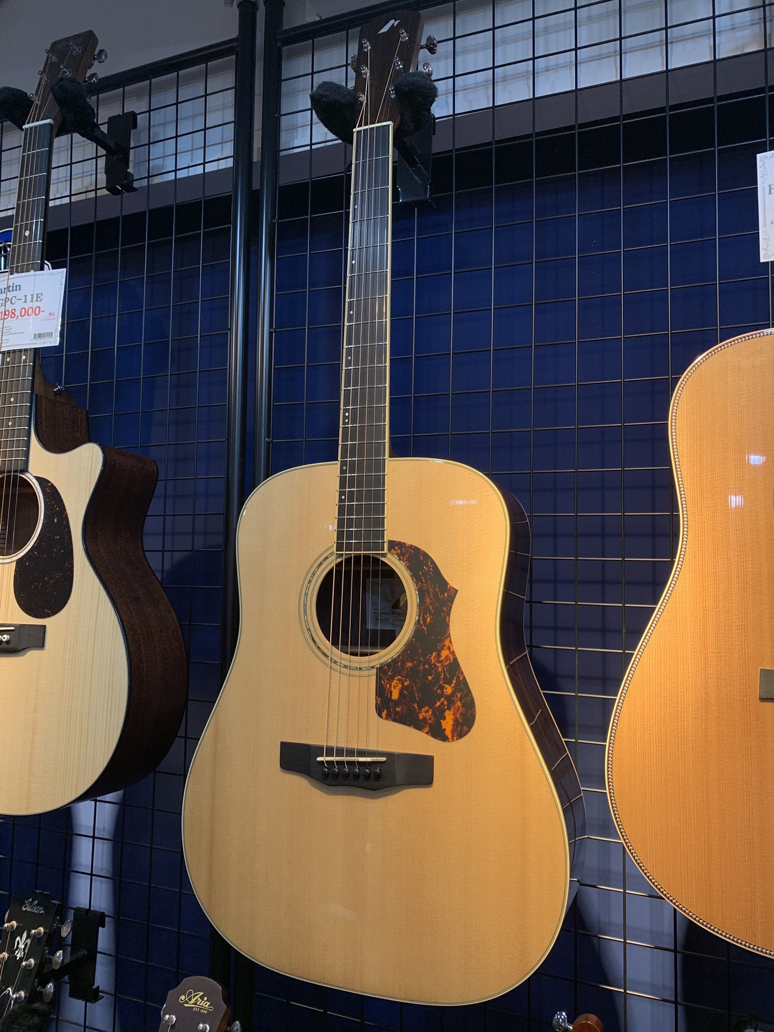 MORRIS MD-515 スプルーストップ/アンデスローズ 1980年代 MORRIS MD-515 スプルーストップ/アンデスローズ 1980年代