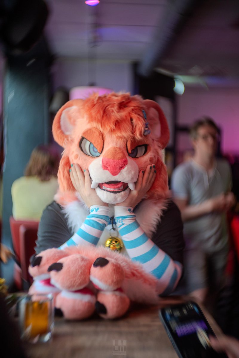 Whats the kitty thinking about ?

📸: <a href="/ManchasLeo/">Leo Manchas~</a> 

#furry #fursuit #FursuitFriday