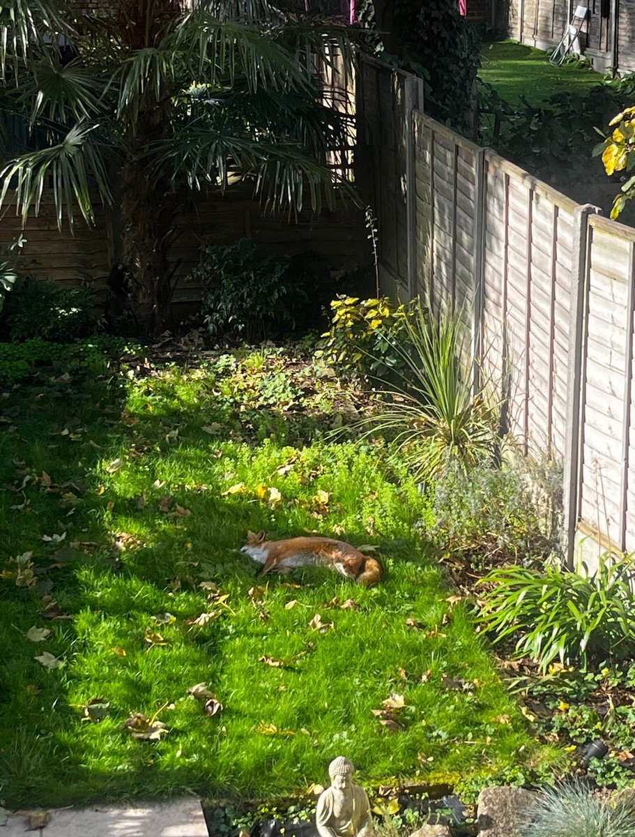 Dr Mathilde Tahar tweet media