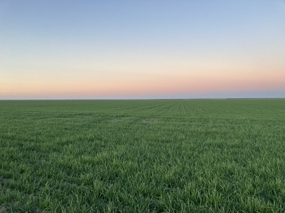 Angus Whyte tweet media