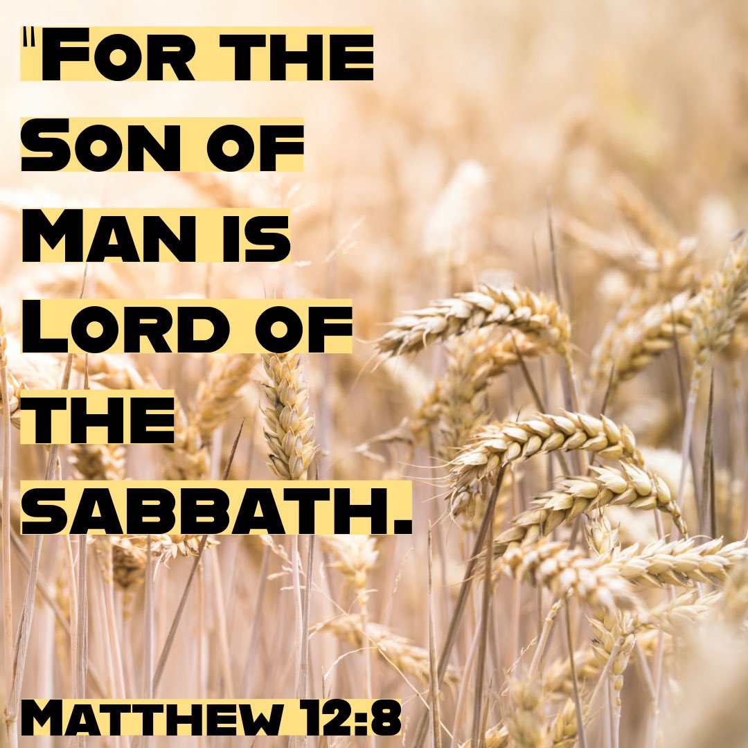 Unexpected Blessings - Pray As You Go
prayasyougo.org/prayer/unexpec…

#dw4jc 

Copyright free image via Unsplash:
unsplash.com/photos/selecti…