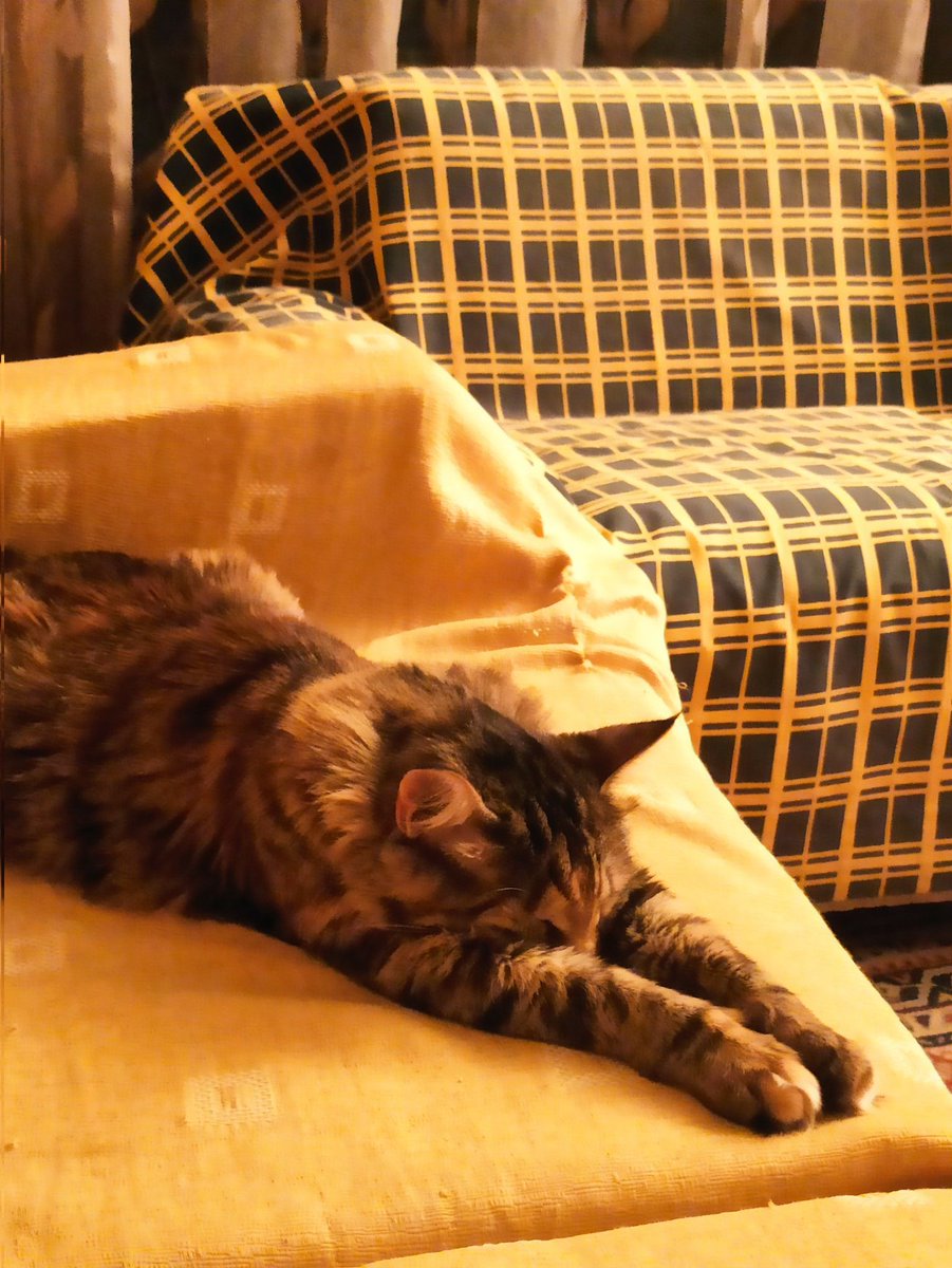 Dimitris_200's tweet image. ΚΑΛΗΣΠΕΡΑ ΤΟΥΙΤΕΡΟΦΙΛΟΙ 👋
ΟΣΟΙ ΑΝΤΕΞΑΤΕ ΤΗΝ ΖΕΣΤΗ 🥵 ΚΑΙ ΕΧΕΤΕ ΚΟΥΡΑΓΙΟ ΚΑΙ ΔΙΑΘΕΣΗ ΣΗΜΕΡΑ ΕΧΟΥΜΕ ΤΗΝ ΣΤΕΨΗ 👑
Η ΝΤΑΙΖΗ 😻 ΜΑΛΛΟΝ ΔΕΝ ΕΝΔΙΑΦΕΡΕΤΑΙ 🤭
#shoppingstar #Cat #Γάτες