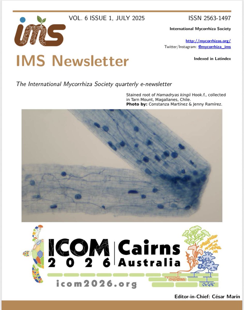 cesarmarin203's tweet image. Our @mycorrhiza_ims Newsletter No. 16 is coming very soon. It included a @southmycorrhiza YouTube interview with @mrillig, ICOM12 meeting report, short article, Top 10 mycorrhizal papers and more!