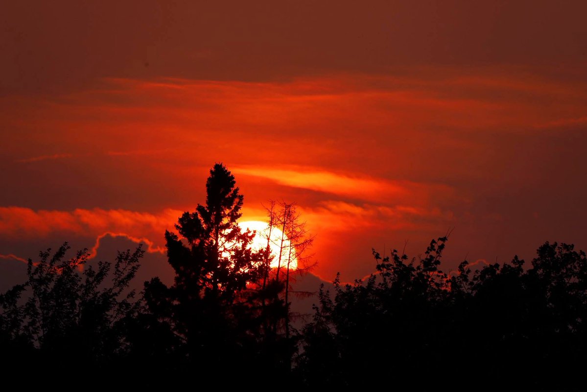 DWPippy's tweet image. Good morning!
The setting sun at Amherst Shore Nova Scotia photographed by Diane Irwin.
