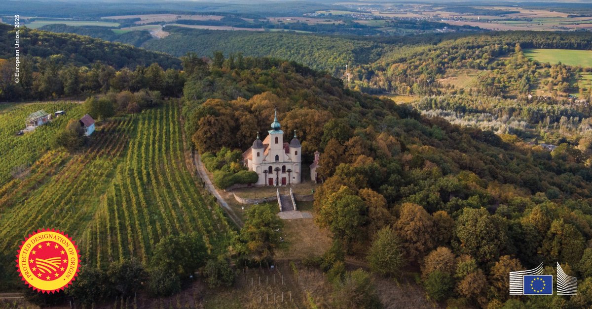 EUAgri's tweet image. 🇪🇺🇭🇺New Protected Designation of Origin registered from Hungary:
Kőszeg / Kőszegi
covers white and red wines, known for their fresh fruitiness, vibrant acidity and salty minerality.
Discover more👉europa.eu/!Cd6xRn
#EUQuality