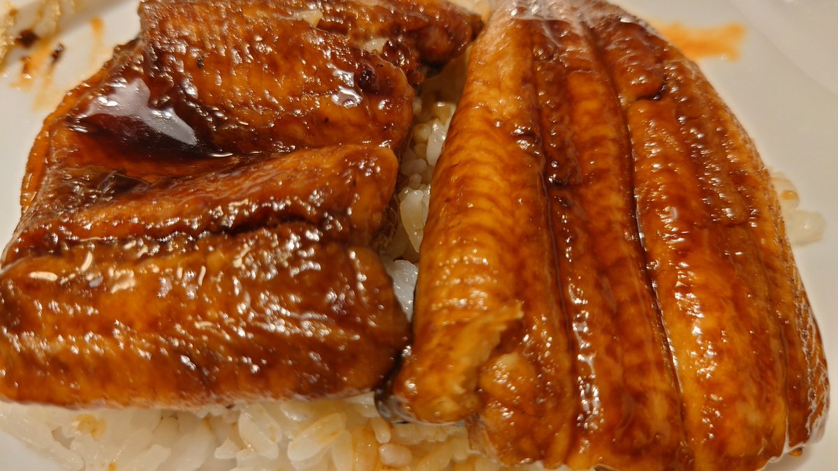 うなぎの蒲焼き