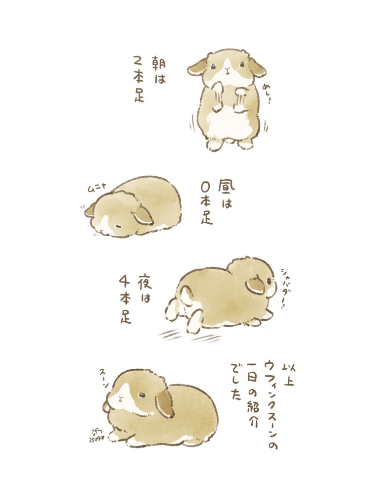 taiga15's tweet image. ウフィンクスーンの謎𓃹◢◣