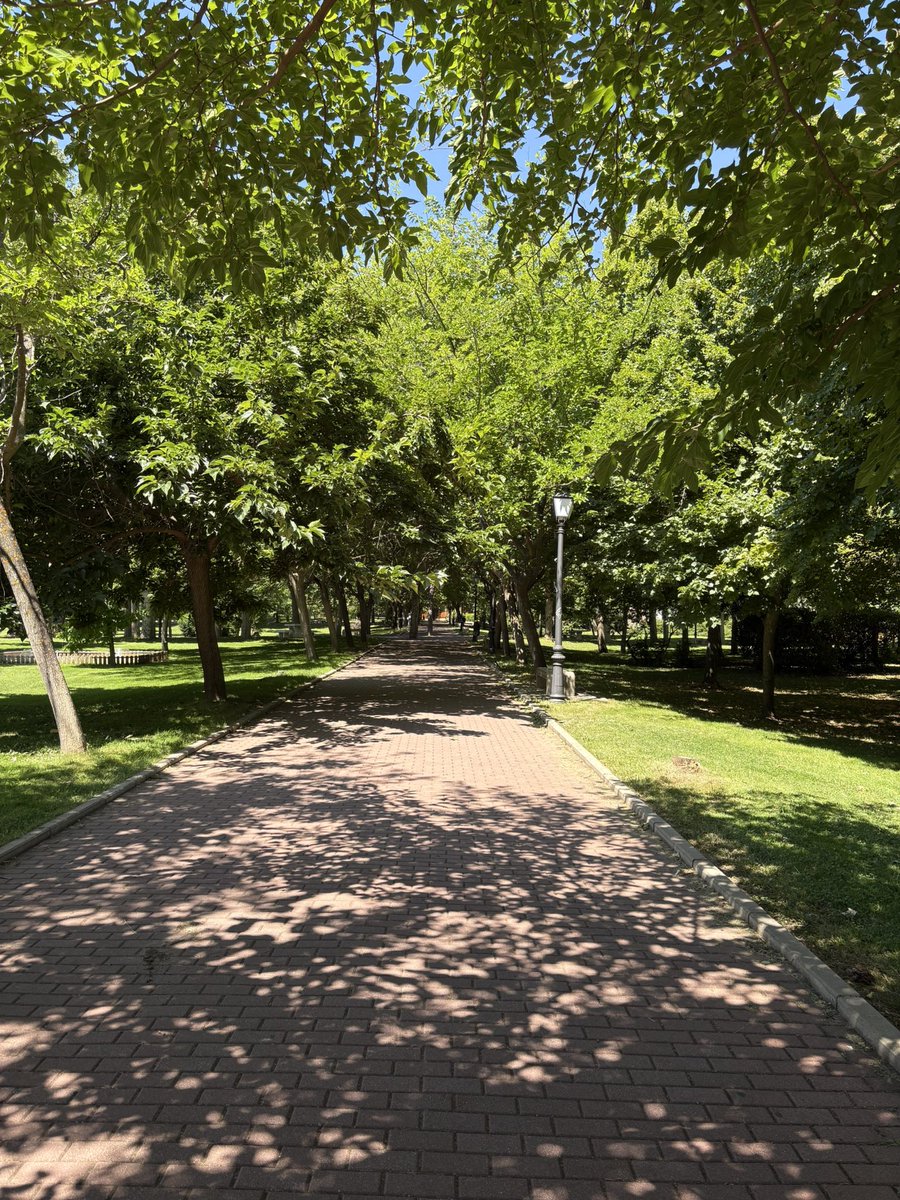 GarrochoS's tweet image. Hoy termina otro año académico en la Universidad Autónoma de Madrid. Gracias a toda la comunidad universitaria por hacer de éste un lugar tan especial.