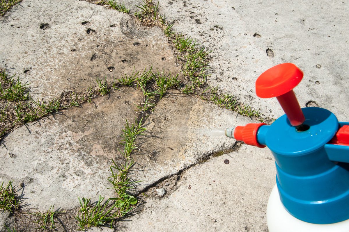 IrelandNpic's tweet image. Herbicides are agrochemicals with a single ingredient or multiple ingredients. Some products may contain solvents. Toxicity varies and some are highly toxic. Call @IrelandNpic if poisoning occurs
Public Poisons Line: 01 809 2566 (8am-10pm)
Healthcare Line: 01 809 2566 (24hr)