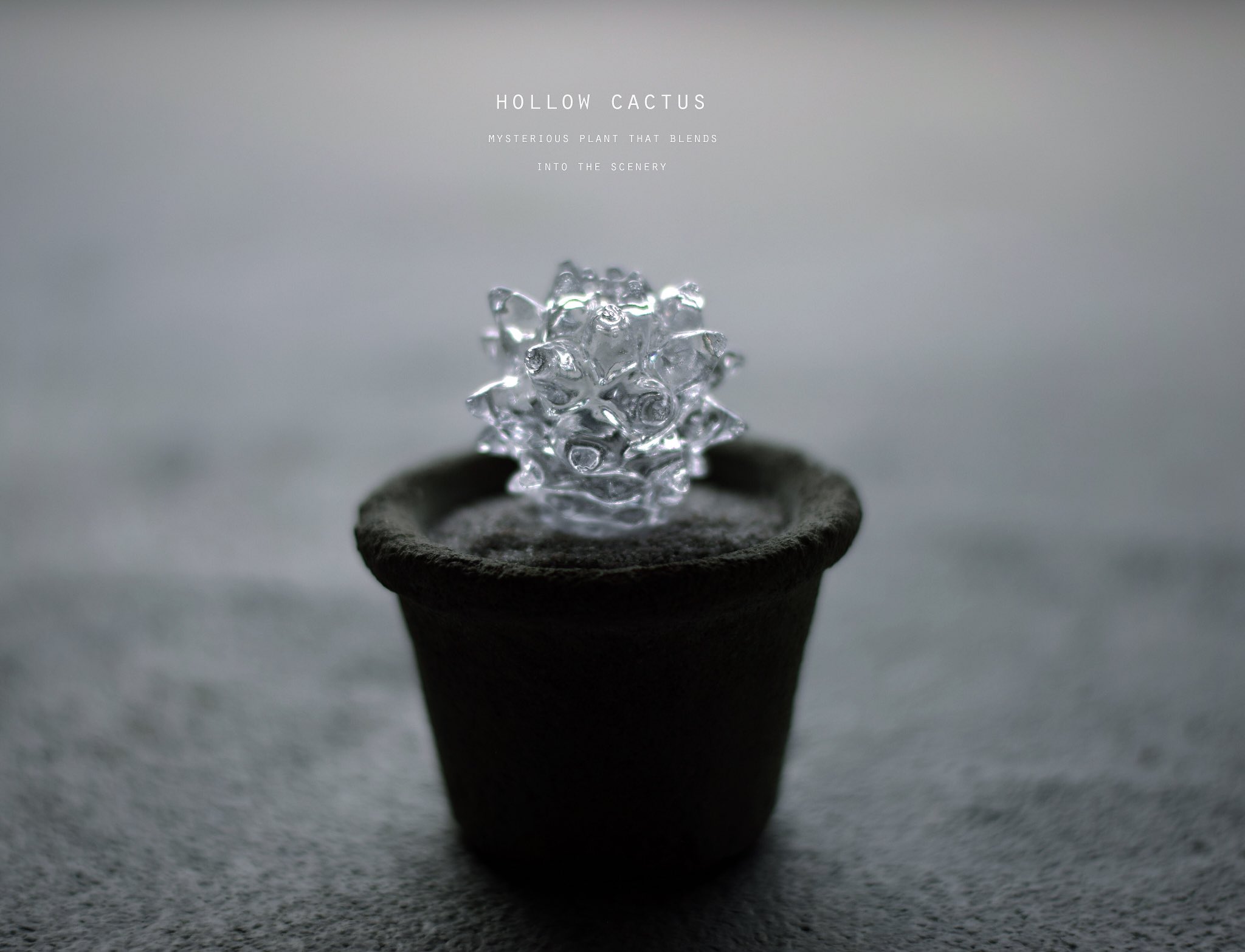 サボテン絵　専用 61URSz06HHL._AC_UF894,