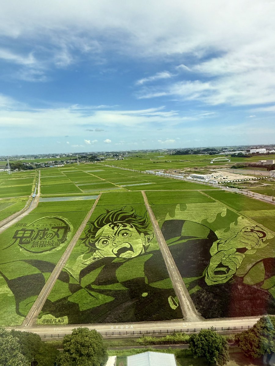 AK52008210's tweet image. こんばんは✨
行田タワーから見た
鬼滅の刃
田んぼアート
2025/07/17
見事な田んぼアートが
見られました⟡.·
穏やかな夜をお過ごしください
.☪*゚
#田んぼアート