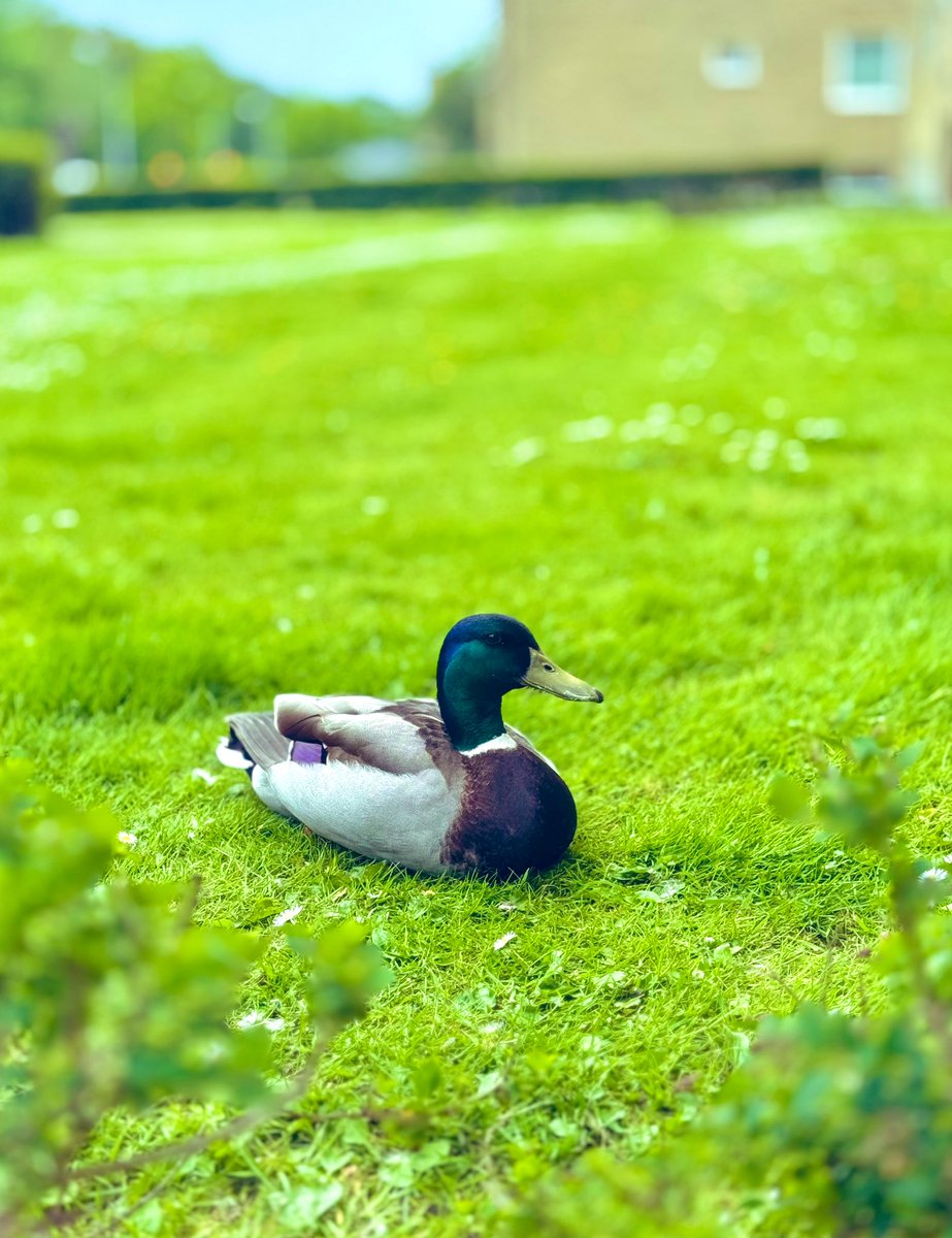 GreenMinded555's tweet image. “Think of all the beauty still left around you and be happy.”
―Anne Frank ✍🏻